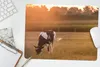 MuchoWow® Mauspad Mousepad Kuh - Sonne - Tiere 40x30 cm - Produktbild-Vorschau 5