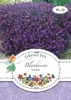 Grüne Fee - Blaukissen Violett Samen - 13190 Produktbild-Vorschau 1
