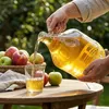 2 x 5L Glasballon (Gallone) mit Schutzkorb, Produktbild-Vorschau 7