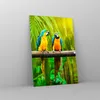 Bilder auf glas - Einteilig - Papageien Collorful Natur Produktbild-Vorschau 4