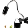 A close-up of a black lamp with a flexible silver gooseneck arm, attached to a black clip. Voir les images du produit