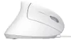 Trust Verto mouse Right-handed USB Type A Optical 1600 DPI Voir les images du produit 16