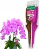 BOPON - DUO elixír pro orchideje, vyživuje a regeneruje 35 Náhled obrázku produktu 2
