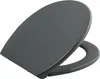 A dark gray toilet seat is shown from a slightly elevated side angle against a white background. Anteprima dell’immagine prodotto