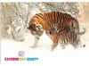 Pack de 2 ardoises magiques pat patrouille - dessine et Voir les images du produit 2