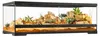 Terrarium Exo Terra EX- Pro Terrarium™ Large Low 90 x 45 x Produktbild-Vorschau 3