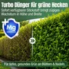Heckenretter Heckendünger Dünger für grüne Hecken Turbo Produktbild-Vorschau 2