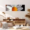 Bild auf Leinwand - Leinwandbild - Kraut Kamille Blume Produktbild-Vorschau 7