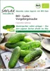 SAFLAX - BIO - Gurke - Vorgebirgstraube - Cucumis sativus - Produktbild-Vorschau 10