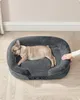 Hundebett, Hundekissen, wasserdichte Innenschicht, erhöhte Produktbild-Vorschau 1