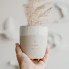 Coupe Hibou Hello New Day 320 ml Voir les images du produit 7