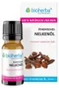 Esenciální olej hřebíček – 10 ml – Bioherba Náhled obrázku produktu 1