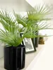 Europalms Fächerpalme Kunstpflanze 55cm 82509401 Náhled obrázku produktu 3
