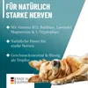 REAVET Relax Liquid für Hunde 100ml - Beruhigungstropfen I Produktbild-Vorschau 5