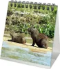 Tierzauber Capybara Tischkalender 10cm x 10cm für 2026 Produktbild-Vorschau 1