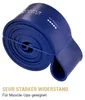 SUPERLETIC Powerbands, Widerstands-Fitness-Bänder, Pullup Produktbild-Vorschau 7
