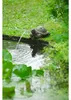 Ubbink Wasserspeier Schildkröte Produktbild-Vorschau 5