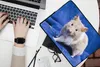 MuchoWow® Laptop Hülle 13 Zoll Syrischer Hamster Produktbild-Vorschau 2