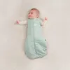 ErgoPouch Baby Schlafsack 2.5 TOG 0-3 Monate Sage Produktbild-Vorschau 3