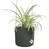 Elho Blumentopf Schaukel 18 cm Blattgrün Hängepflanztopf Produktbild-Vorschau 3