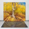 Coloray Hackbrett Herdabdeckplatte 60x52 cm Küchenbrett Produktbild-Vorschau 2