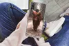 MuchoWow® Handyhülle Schutzhülle Hülle für Huawei P20 Lite Produktbild-Vorschau 3