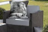 MuchoWow® Outdoor Kissen - Löwe - Afrika - Schwarz - 60x60 Produktbild-Vorschau 5