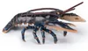 Papo Lobster, Mehrfarbig, 1 Stück(e) Produktbild-Vorschau 1