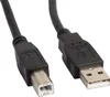 Lanberg Druckerkabel Usb Male/Usb Male Ferrite 5M Schwarz Produktbild-Vorschau 3
