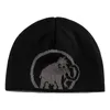 MAMMUT Uni Strickmütze Mammut Logo Beanie Produktbild-Vorschau 2