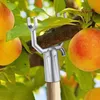 6pcs Metallbaumzweige Stütze stützt sich fruchtbarer Produktbild-Vorschau 4