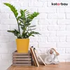 KOTARBAU® 2er Set Blumentopf Senffarbe Keramik glasiert  ⌀ Produktbild-Vorschau 2