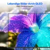 MEDION 125,7 cm (50 Zoll) Fernseher 4K Smart TV - MD 850701 Produktbild-Vorschau 3