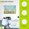 ARTland Poster Margeriten vor Sommer Himmel Größe: 60x40 cm Produktbild-Vorschau 3