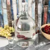 Orion Glasflasche Glasballon Flasche aus Glas mit Produktbild-Vorschau 3