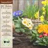 Samenliebe  Malve Samen alte Sorte Dunkelviolette Blüten Produktbild-Vorschau 6