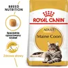 Cibo secco Royal Canin FBN Maine Coon Adult per gatti Anteprima dell’immagine prodotto 6