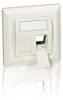 Equip Unterputzdose +Frontplatte 2 Keystone   45°   RAL Voir les images du produit 1