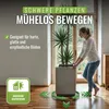 PFLANZWERK® Pflanzenroller 38x38cm Pflanzkübel Blumentopf Produktbild-Vorschau 4