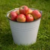 A white metal bucket filled with red and green apples sits on a green grassy lawn. Voir les images du produit