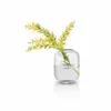 Vase, Glas, 16,5 cm, Transparent - Eva Solo | Acorn Produktbild-Vorschau 3