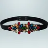 Cintura DI Multicolore - Eleganza e Stile KP39547 Anteprima dell’immagine prodotto 1