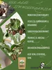GreenPanda Trauermückenfrei - 40g Pflanzenschutzmittel Produktbild-Vorschau 4