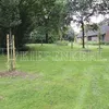 Kiepenkerl RSM 7.2.1 Landschaftsrasen Trockenlagen 10 kg Produktbild-Vorschau 2