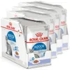 Royal Canin Indoor Sterilized, Adult, jede Rasse, Fleisch, Produktbild-Vorschau 2
