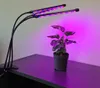 Gardlov 2x LED Lempa augalų auginimui - 2 vnt. Náhľad obrázku produktu 14