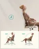 A woman sitting in a chair demonstrating different reclining angles, with graphic overlays showing the angles. Náhled obrázku produktu