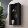 A black wall-mounted cabinet with shelves displaying decorative items and books, next to a large potted plant. Náhľad obrázku produktu