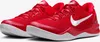 Kobe VIII 8 Protro "University Red" Czerwony, HF9550-600, Podgląd zdjęcia produktu 1