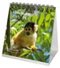 Affenzauber Tischkalender 10x10cm für 2027 Affen - Produktbild-Vorschau 1